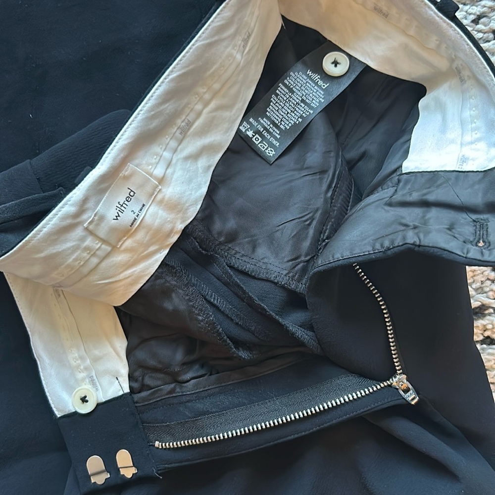 Aritzia Slacks
